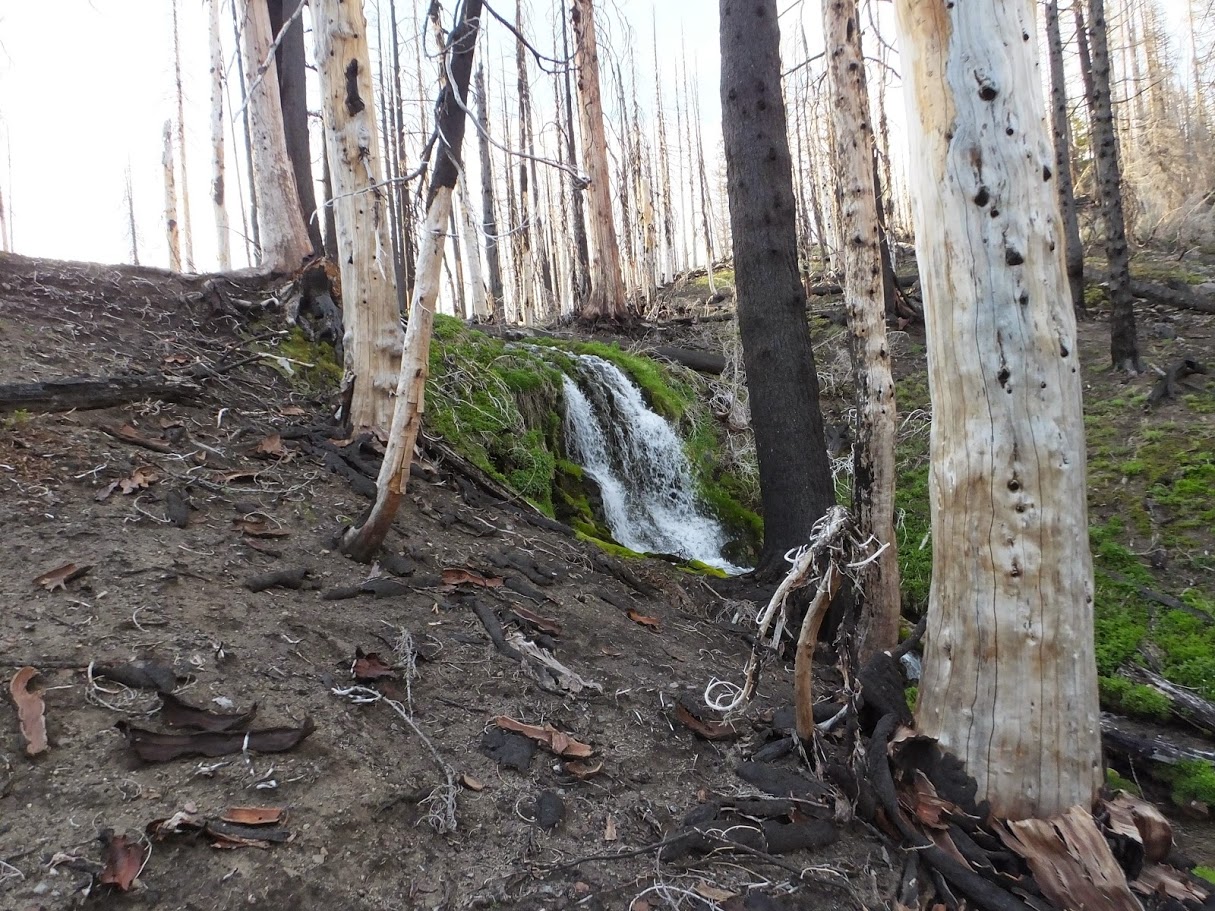 A beautiful alpine cascade amongst the burnt, dead trees. A hint of what this place must have been like before the fire.