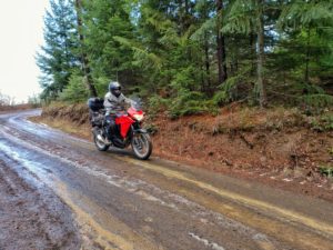 PointsUnknown - Kawasaki Versys-X 300 - Off Road